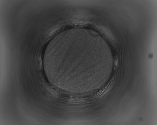 X0000101231252200807181555