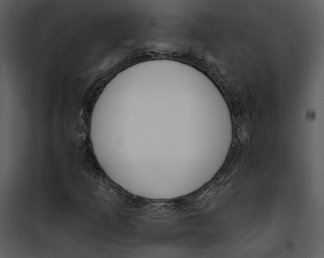 X0000101231253200807181555