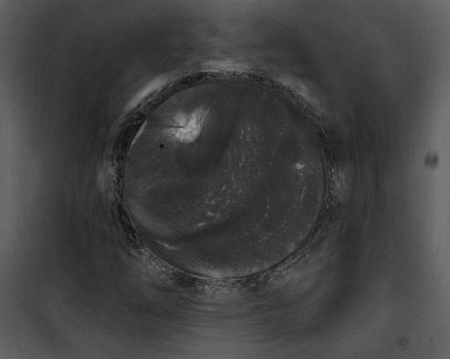 X0000101231254200807181555