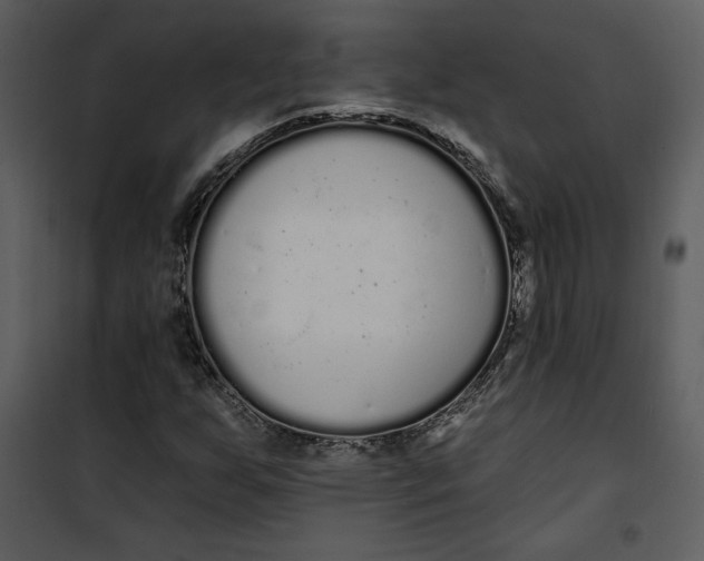 X0000101231255200807181555