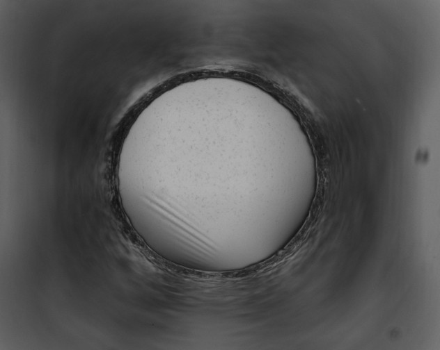 X0000101231256200807181555