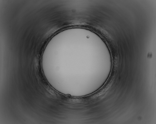 X0000101231257200807181555