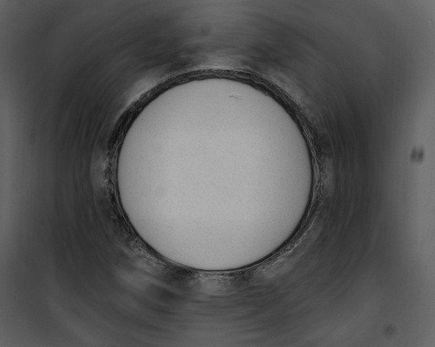 X0000101231258200807181555