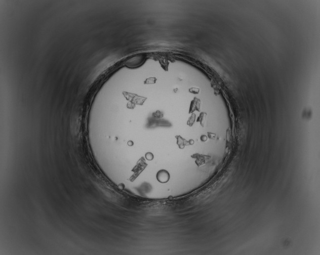 X0000101231259200807181555