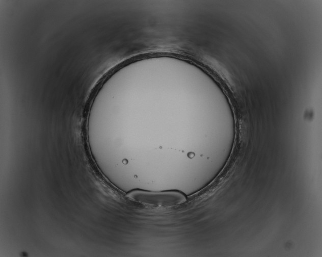 X0000101231260200807181555