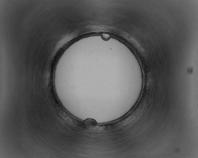 X0000101231261200807181555