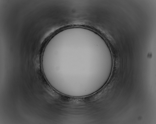 X0000101231262200807181555