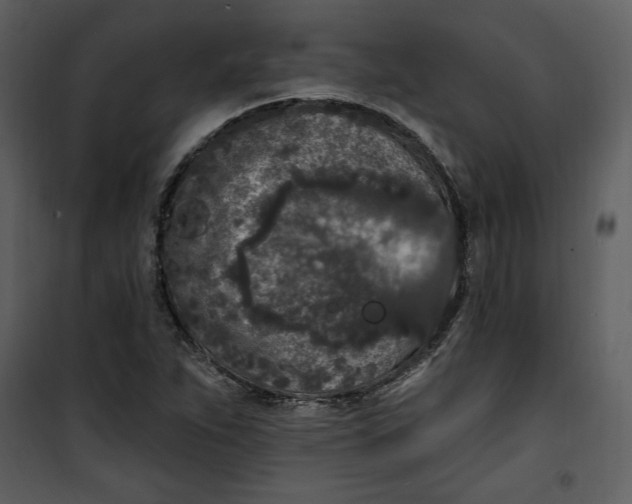 X0000101231263200807181555