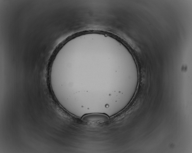 X0000101231264200807181555