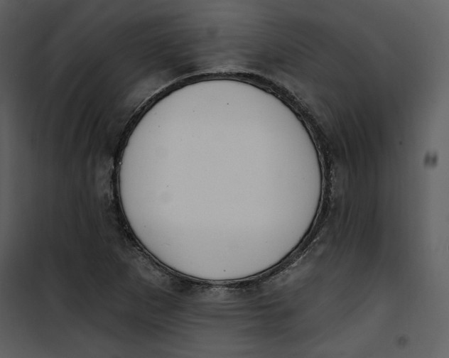 X0000101231265200807181555