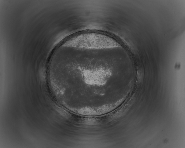 X0000101231266200807181555