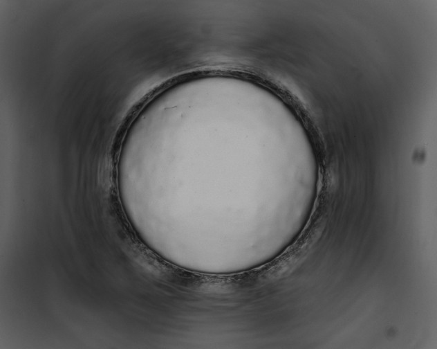 X0000101231267200807181555