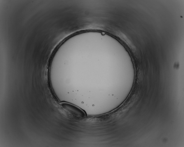 X0000101231268200807181555