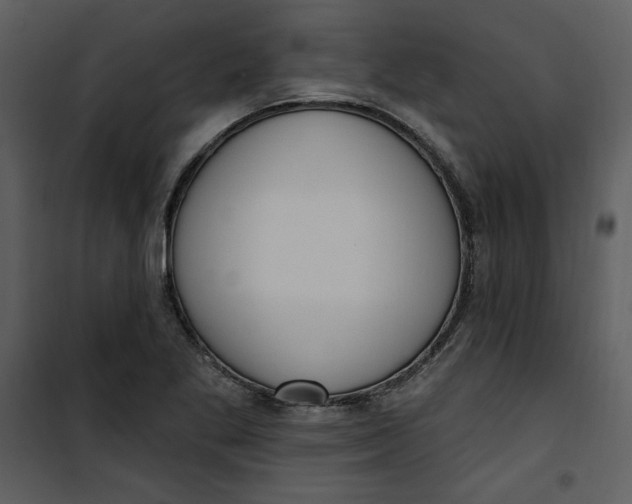 X0000101231269200807181555