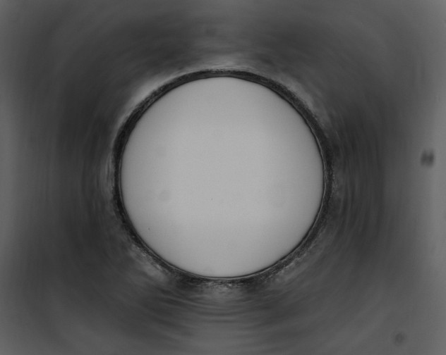 X0000101231270200807181555