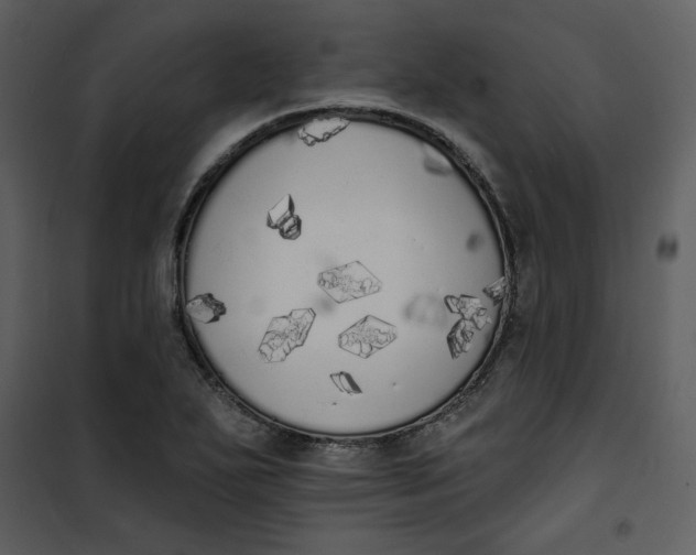 X0000101231271200807181555