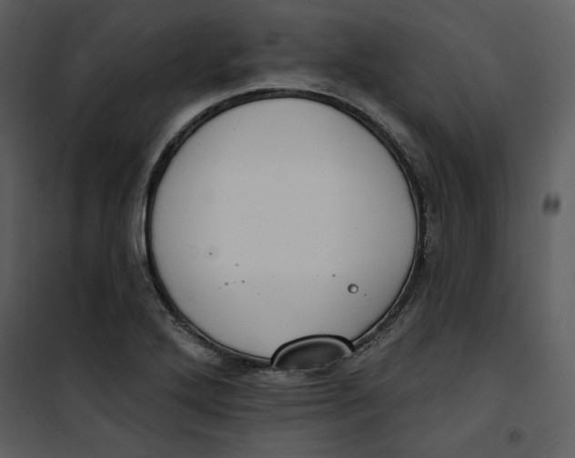 X0000101231272200807181555