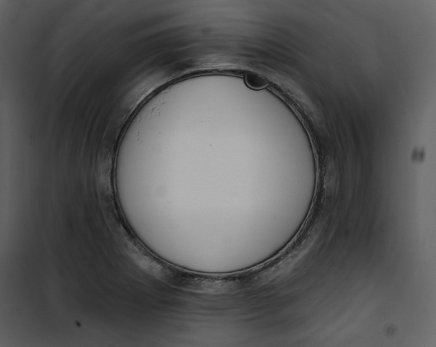 X0000101231273200807181555