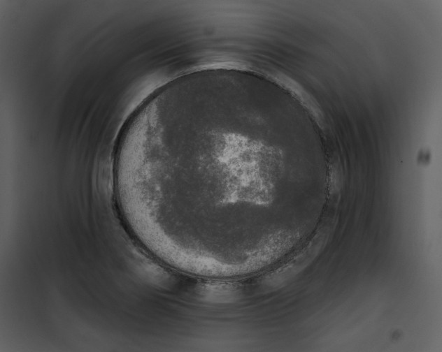 X0000101231274200807181555