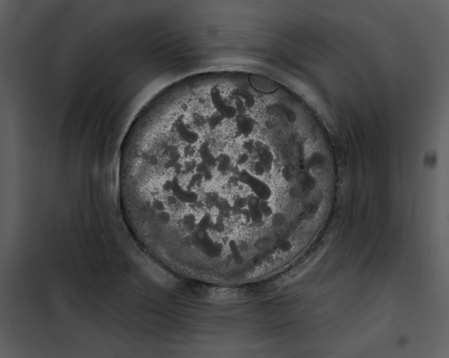 X0000101231275200807181555