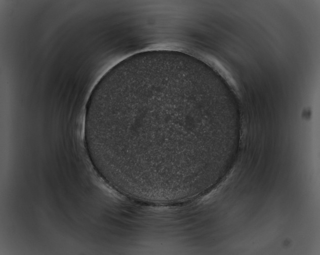 X0000101231276200807181554