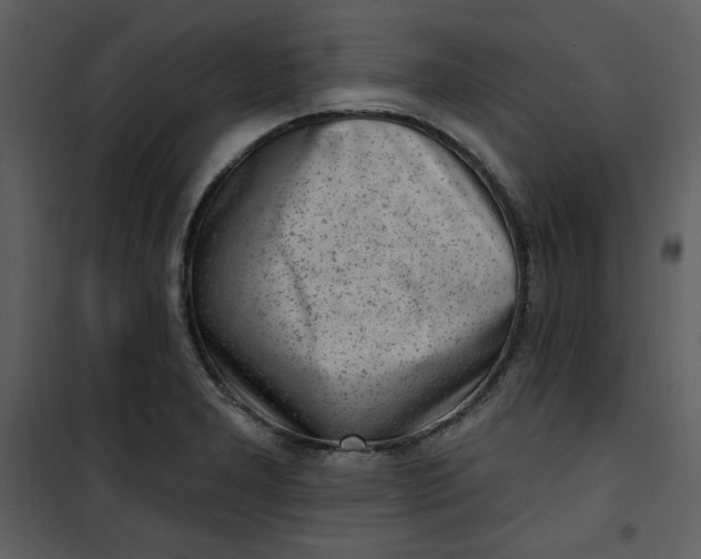 X0000101231277200807181554