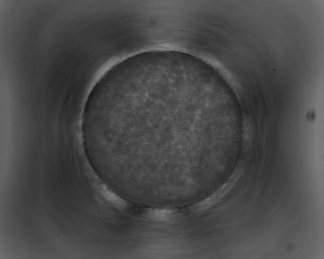 X0000101231278200807181554