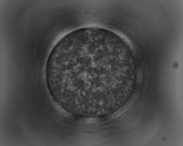 X0000101231279200807181554