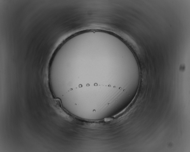 X0000101231280200807181554