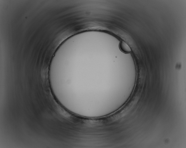 X0000101231281200807181554