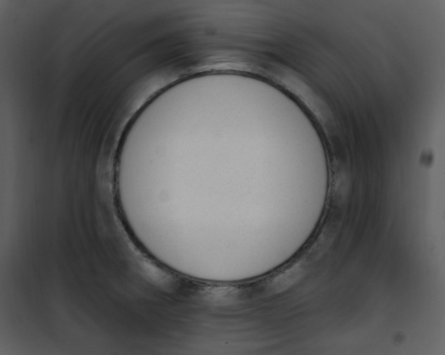 X0000101231282200807181554