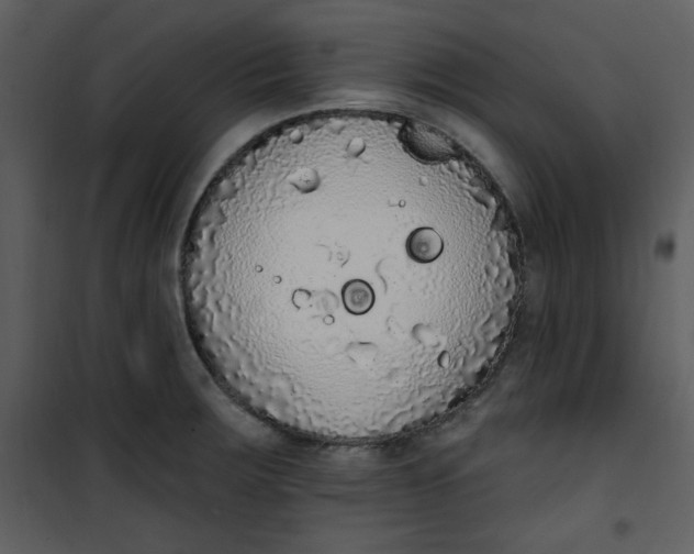 X0000101231283200807181554