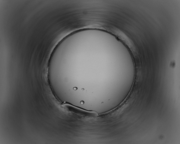 X0000101231284200807181554