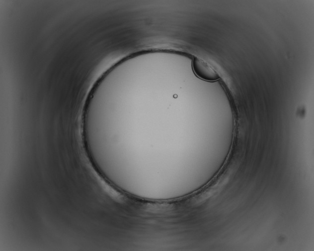 X0000101231285200807181554