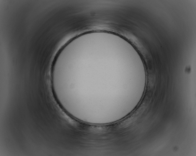 X0000101231286200807181554