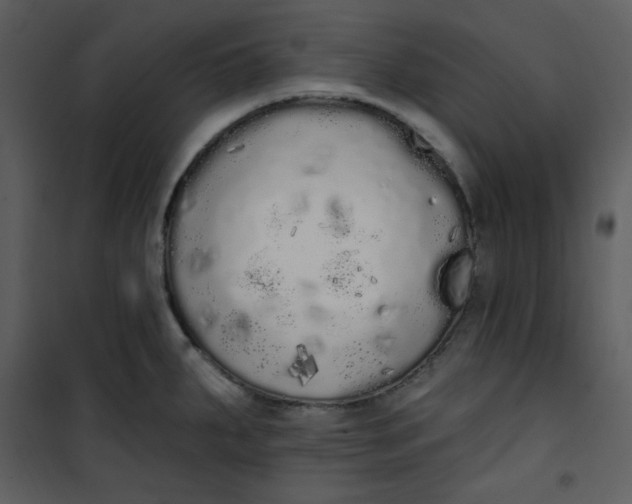 X0000101231287200807181554