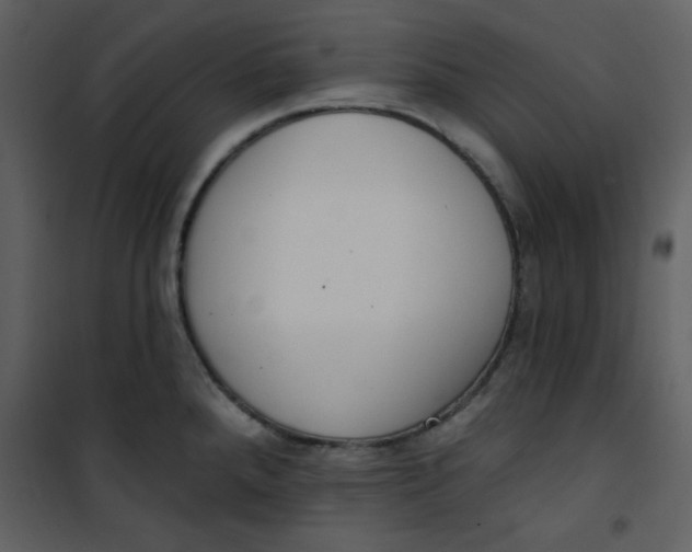 X0000101231288200807181554