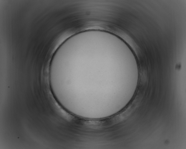 X0000101231290200807181554