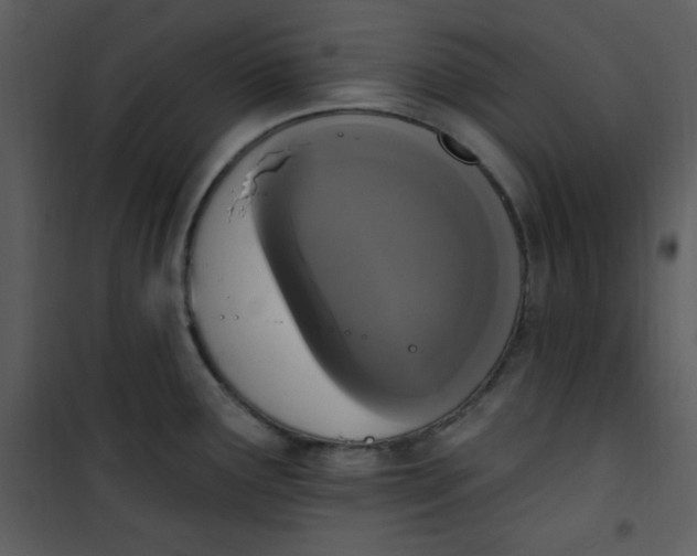 X0000101231291200807181554