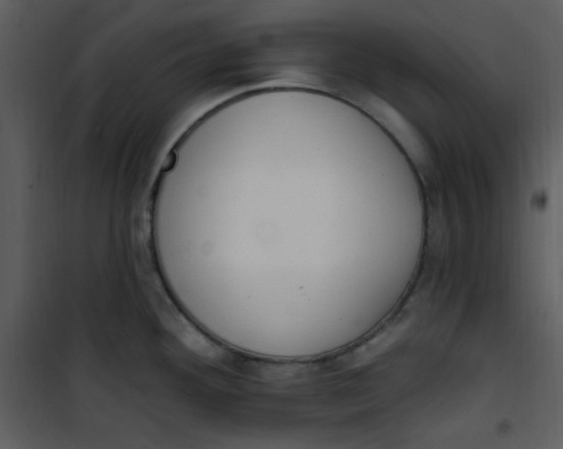 X0000101231292200807181554