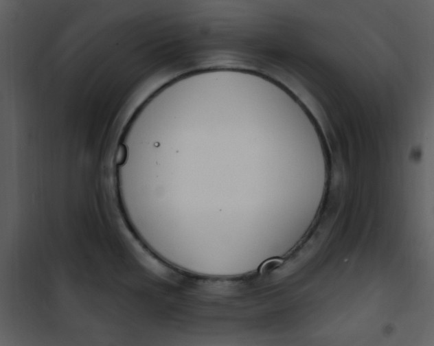 X0000101231293200807181554