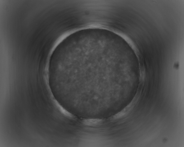 X0000101231294200807181554