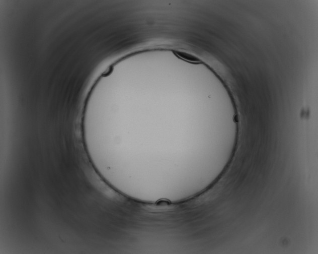 X0000101231296200807181554