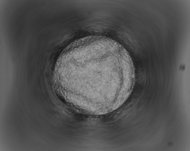 X0000101231297200807181554