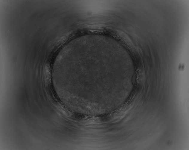 X0000101231298200807181554