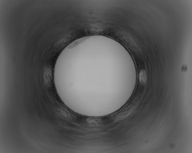 X0000101231299200807181554