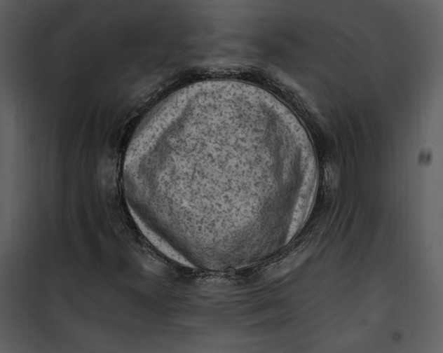 X0000101231300200807181554