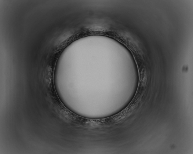 X0000101231301200807181554