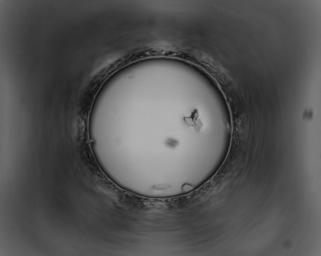 X0000101231302200807181554