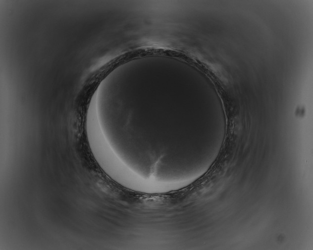 X0000101231303200807181554